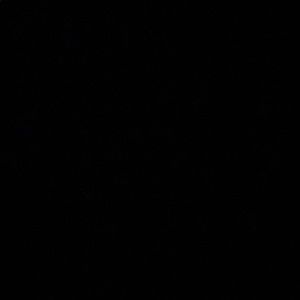 Meet your Posher, Hoani